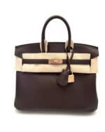 Birkin 25 Swift Rouge Sellier GHW