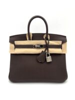 Birkin 25 Togo Verso Ebene / Gold