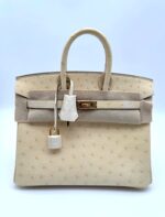 Birkin 25 Retourne Ostrich Nata Boreal GHW