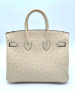 Birkin 25 Retourne Ostrich Nata Boreal GHW - Image 2