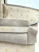 Birkin 25 Retourne Ostrich Nata Boreal GHW - Image 8
