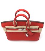 Birkin 25 Togo Rouge De Coeur PHW - Image 4