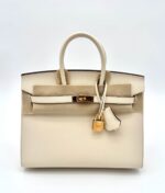 Birkin 25 Epsom Sellier Nata GHW