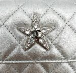 Quilted Metallic Goatskin Belt Bag SHW - Image 4