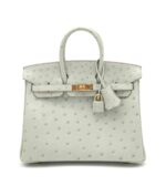Birkin 25 Retourne Ostrich Gris Perle GHW