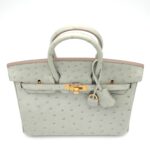 Birkin 25 Retourne Ostrich Gris Perle GHW - Image 3
